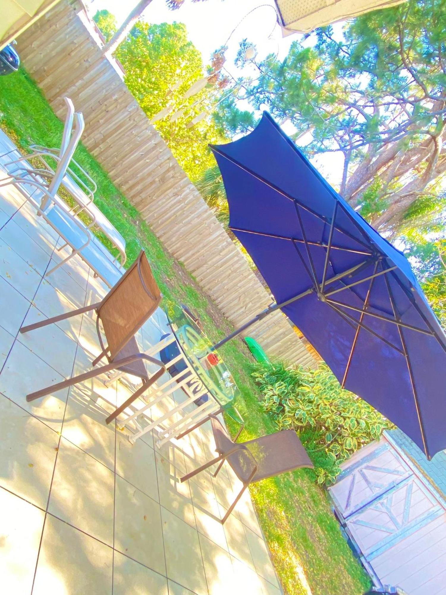 Cozy Studio Only 10 Minutes By Car Of Siesta Key Sarasota Eksteriør bilde